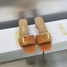 Christian Dior Slippers